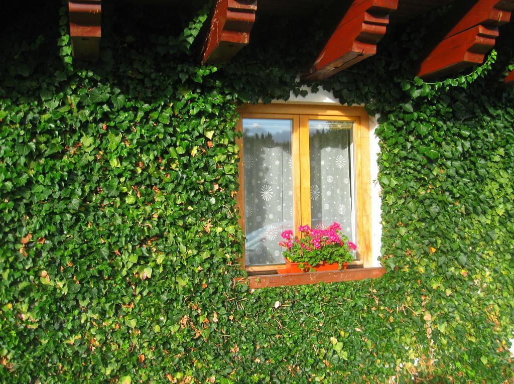 Ubytovani Na Slucim Tahu Prasily Exterior foto