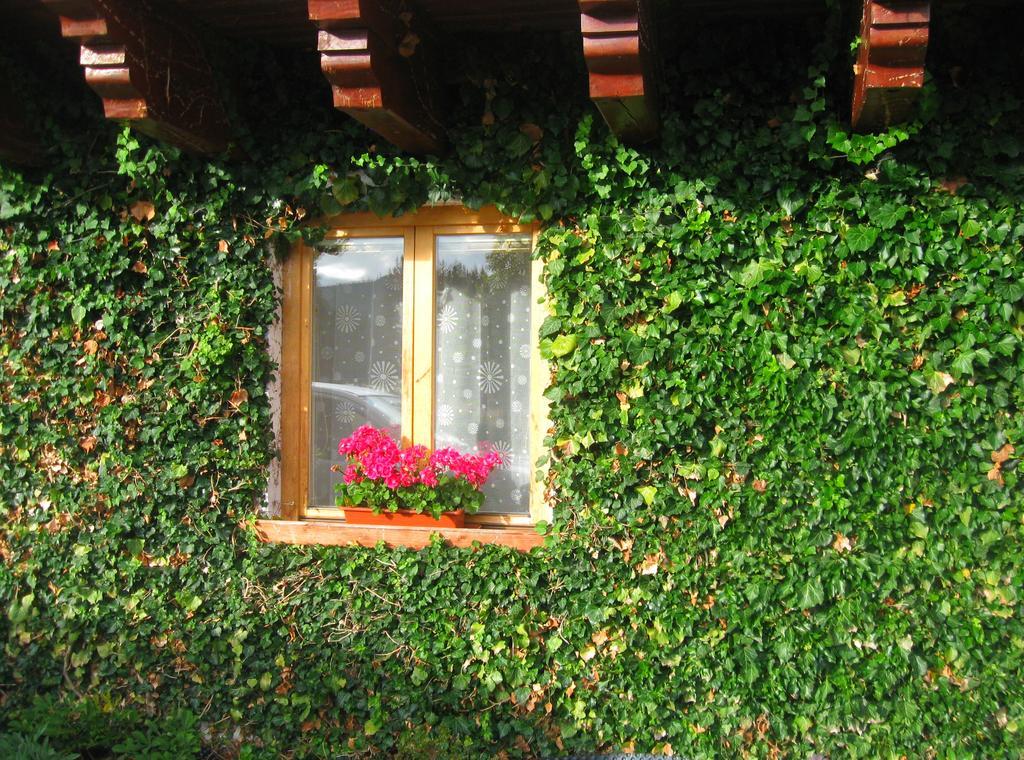 Ubytovani Na Slucim Tahu Prasily Exterior foto